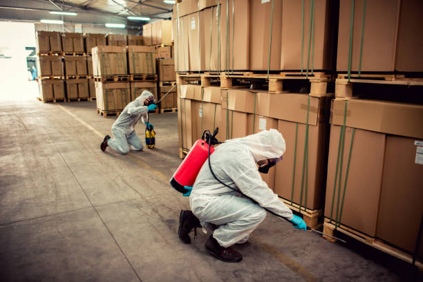 Best Best Pest Control Companies  in Belle Chasse, LA