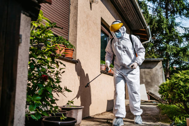 Best Rat Extermination Near Me  in Belle Chasse, LA