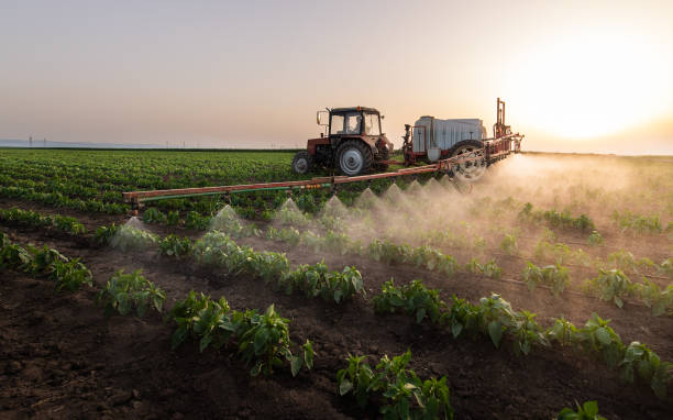 Best Pest Control Cost  in Belle Chasse, LA
