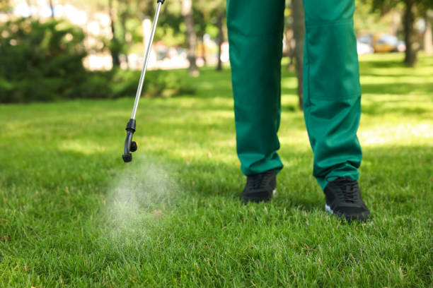 Professional Pest Control in Belle Chasse, LA