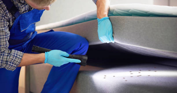 Best Exterminator Services  in Belle Chasse, LA