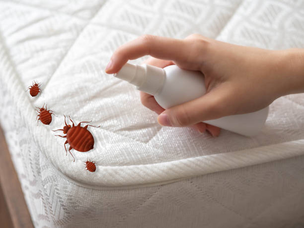 Best Exterminator Services  in Belle Chasse, LA